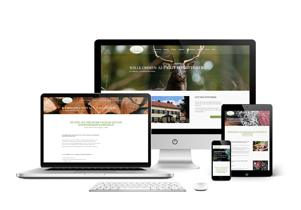 referenz_webseite_gut_halstenberg